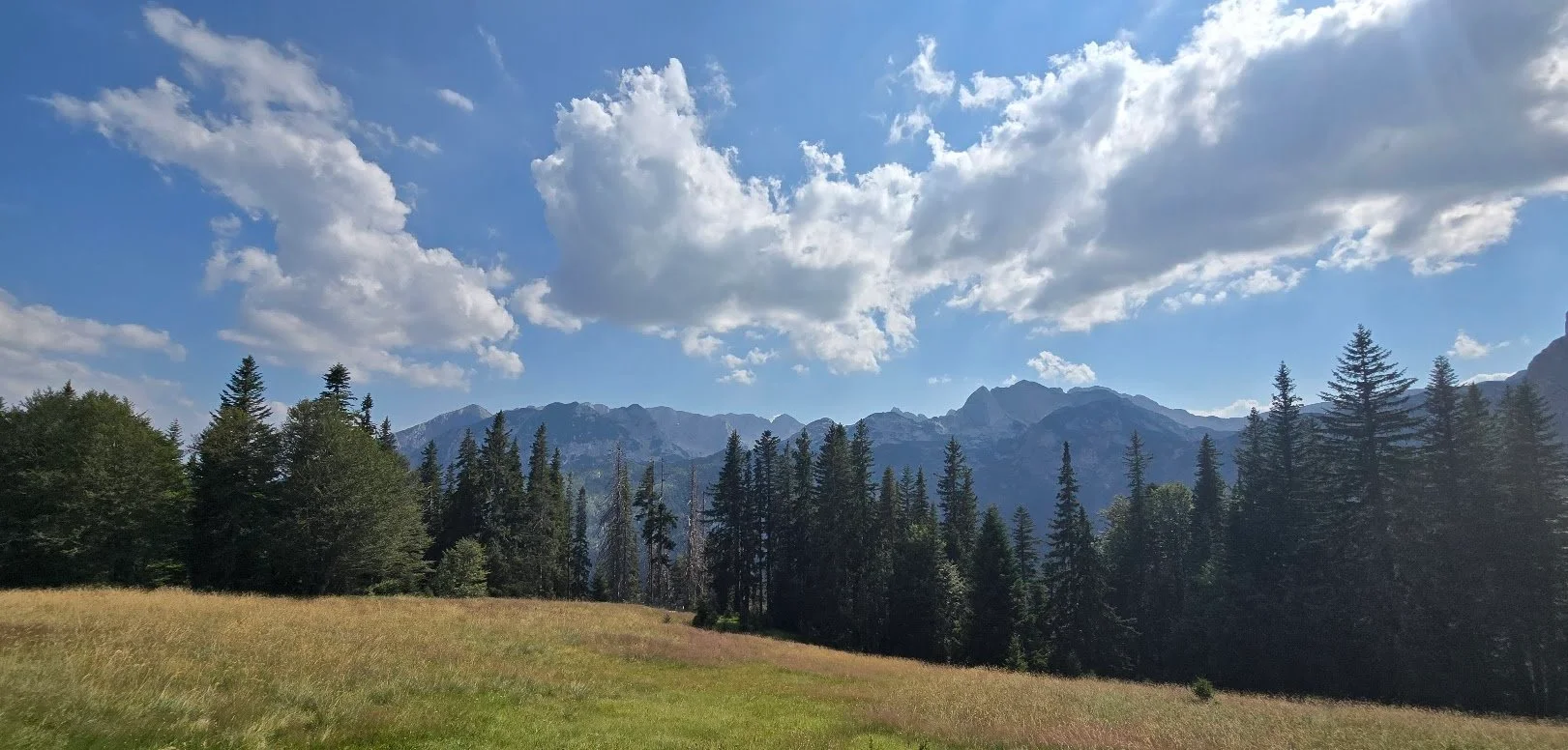 Rocky Durmitor mountain ridge in clear alpine conditions, Montenegro
