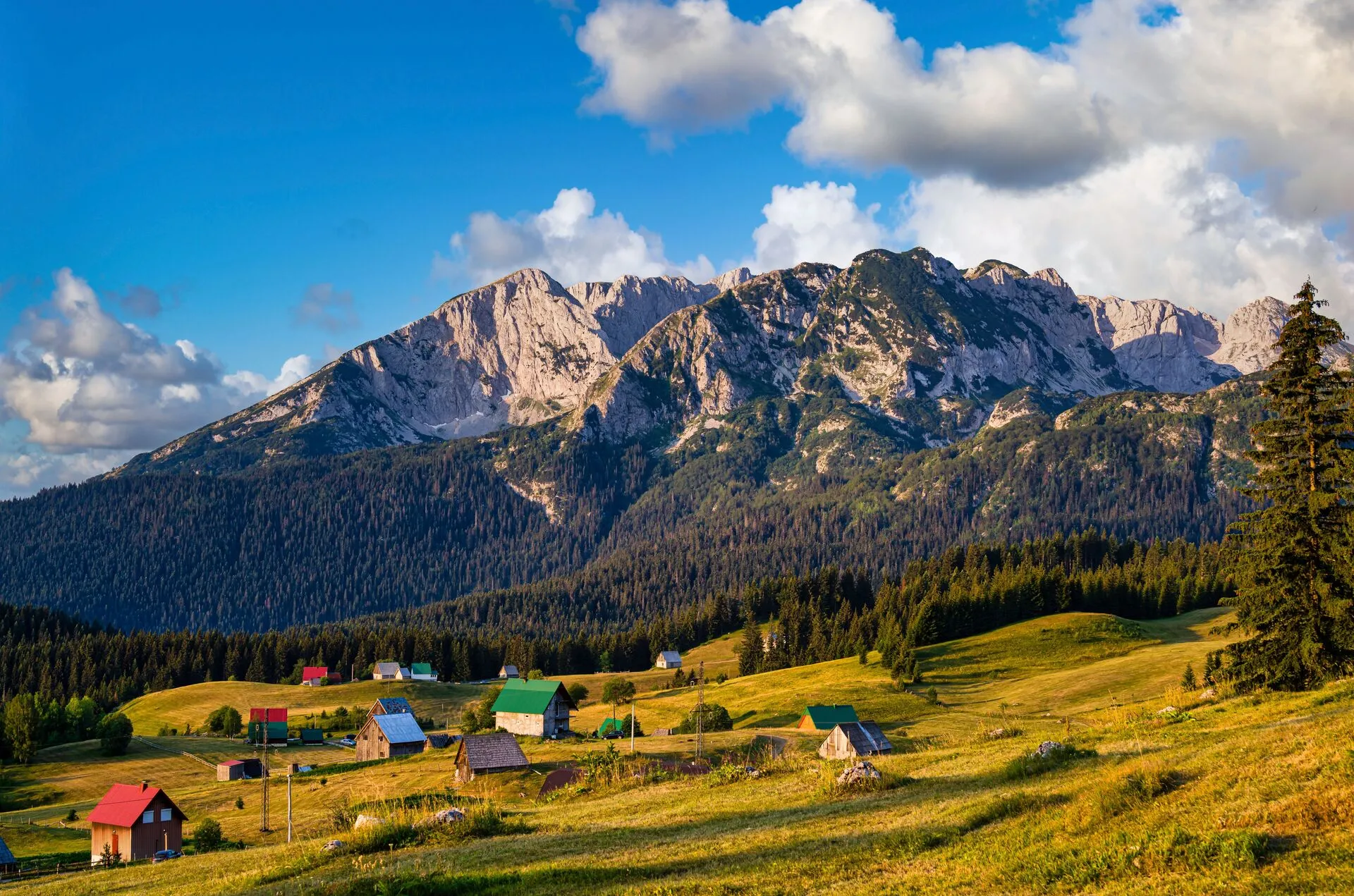 Durmitor mountain peaks covered in snow above the treeline, Montenegro